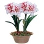 breck-s-flower-bulbs-88589-64_1000